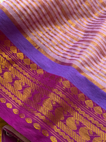 Stripe Motif Border Mul cotton saree