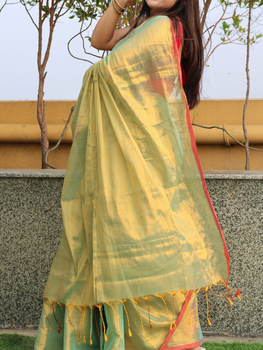 Olive Green Tissue saree